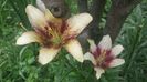 20150705_143442