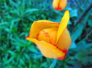 IMG_3637