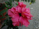 DSC02438