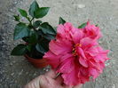 DSC02440
