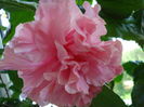 DSC02440