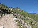 IMG_0773