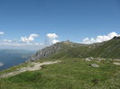 IMG_0779