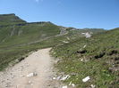 IMG_0794