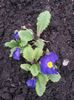 20150420_094851
