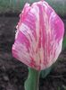 20150505_192440