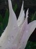 20150505_192506
