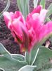 20150505_192538