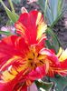 20150509_165840
