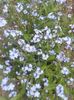 20150511_095712