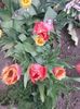 20150511_095803