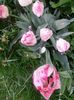 20150511_100419