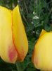 20150511_100501