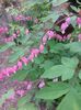 20150511_100557