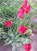 20150511_100629