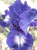 20150522_091742