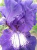 20150522_175243