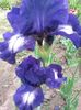 20150523_103523
