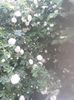 20150604_085649