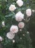20150604_085702