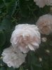 20150604_085707