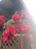 20150604_085721