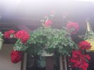 20150604_085741