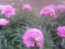 20150604_085907