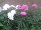 20150604_085910