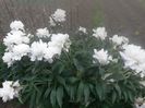 20150604_085920