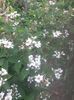 20150604_085935