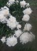 20150604_090002