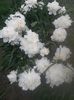 20150604_090005
