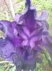 20150604_090019