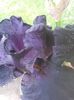 20150604_090059