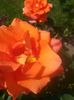 20150609_151404