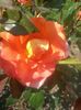 20150609_151410