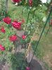 20150609_151705