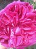 20150609_151826