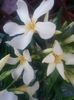 20150612_210327