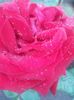 20150612_210348