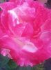 20150612_210411