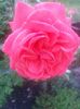 20150612_210446