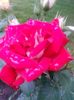 20150616_202104
