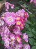 20150620_110503