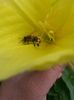 20150620_110641