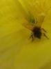 20150620_110701