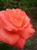 20150620_110742