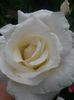 20150620_111017