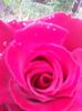 20150620_111038